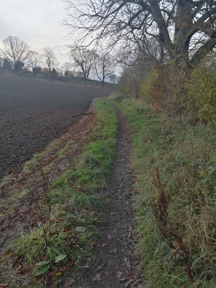 SWYPFTOH's tweet photo. My walk today 👍 #LoveActivity #WinterWellness @allofusinmind https://t.co/IS9ipGtJMW