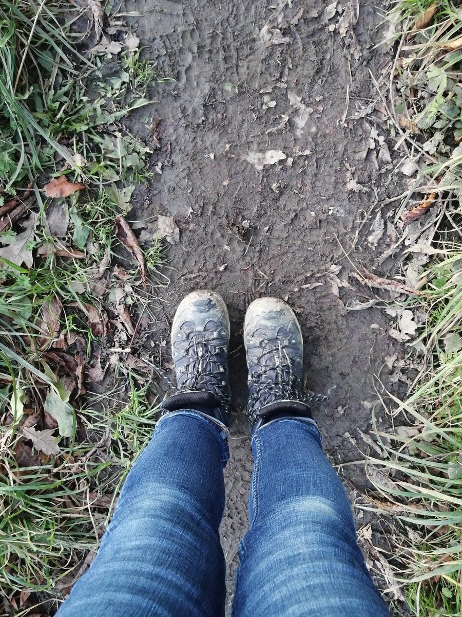 Occupational Health (@swypftoh) on Twitter photo My walk today 👍 #LoveActivity #WinterWellness <a href="/allofusinmind/">SouthWestYorkshire Partnership NHS FoundationTrust</a> My walk today 👍 #LoveActivity #WinterWellness <a href="/allofusinmind/">SouthWestYorkshire Partnership NHS FoundationTrust</a>