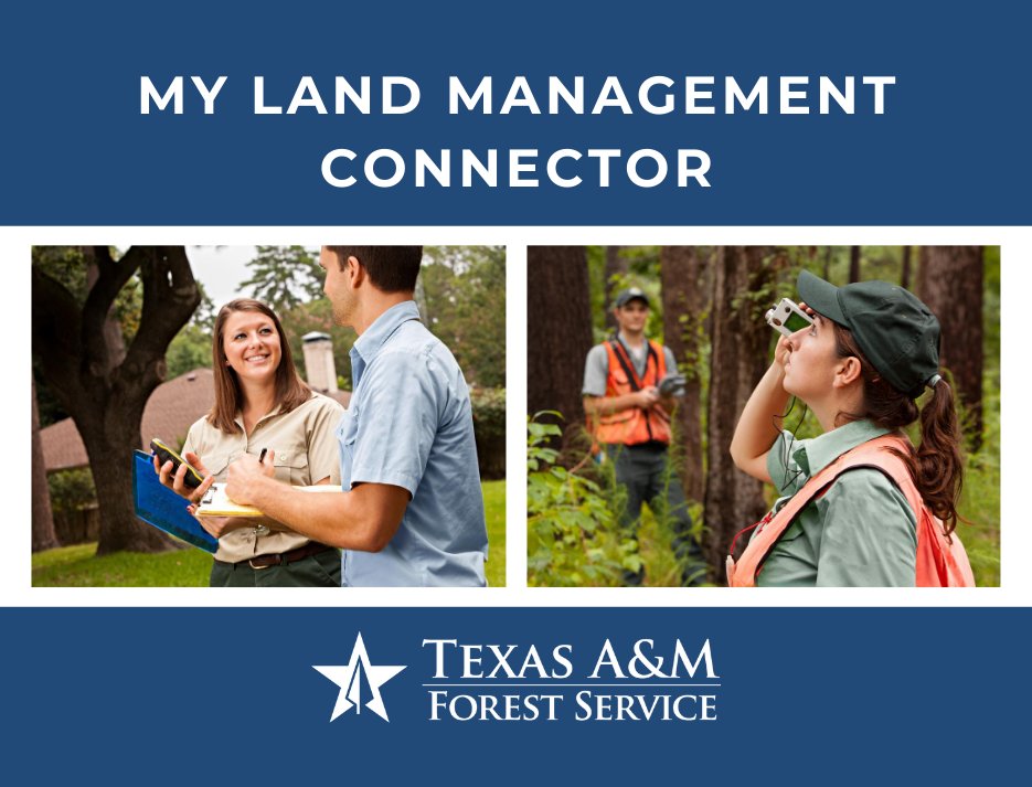 TXForestService's tweet photo. 📱 My Land Management Connector is an online application that simplifies stewardship by helping you find qualified providers for services like timber harvesting, consulting and more.

🌲 Simplify your stewardship efforts. Start today at https://t.co/E68vTBwCgi #txforest https://t.co/74yFVUJfng