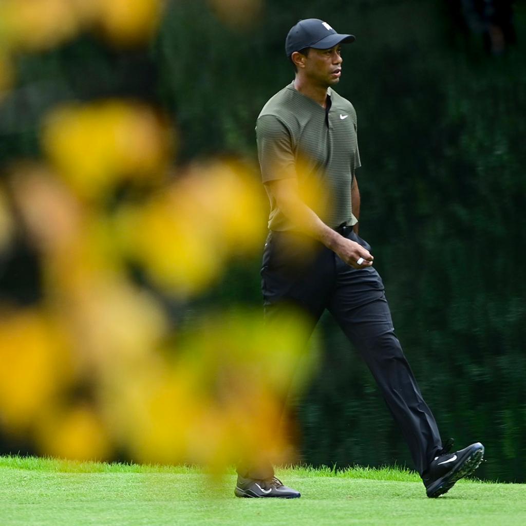 ROLEX's tweet photo. We salute Augusta National Golf Club in hosting a historic November Masters while upholding its unique traditions. This edition of @themasters is further proof of its status as an inspiring example in the quest for perfection. #RolexFamily #Perpetual https://t.co/37AD2VqFPO