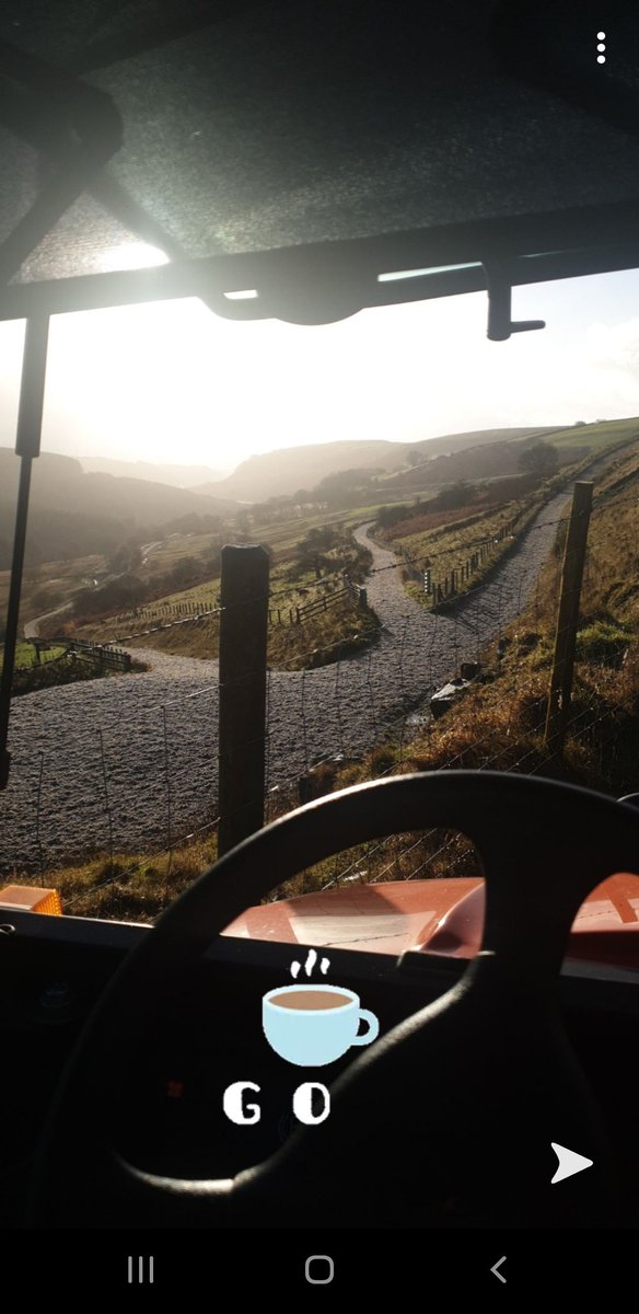 Carpet gallops looking sharp this morning! 🐎🥇🏴󠁧󠁢󠁷󠁬󠁳󠁿