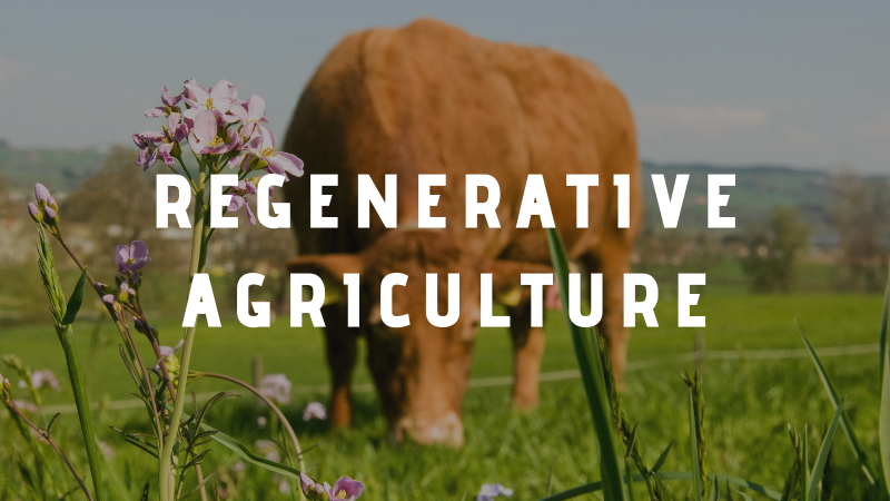 ARC2020eu's tweet photo. #biofarm2020 is over now...but we've a new regenerative ag section in case you have a hankering for more!
#RegenerativeAgriculture
https://t.co/oJgHs75hf1 https://t.co/x6cYDh88HG