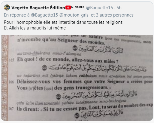Harry_Ko_Vert's tweet photo. @Baguetto15 @letueurhalal @mouton_gris @Shototucoco @ungarconsympa @magicalorrs Tu dis que Allah maudit les homophobe alors qu'il a détruits Gog et Magog parce qu'ils y avais des gens qui ce livraient a la sodomie entre hommes, donc non Allah n'aime pas les homosexuel. https://t.co/Pn3Iimul69