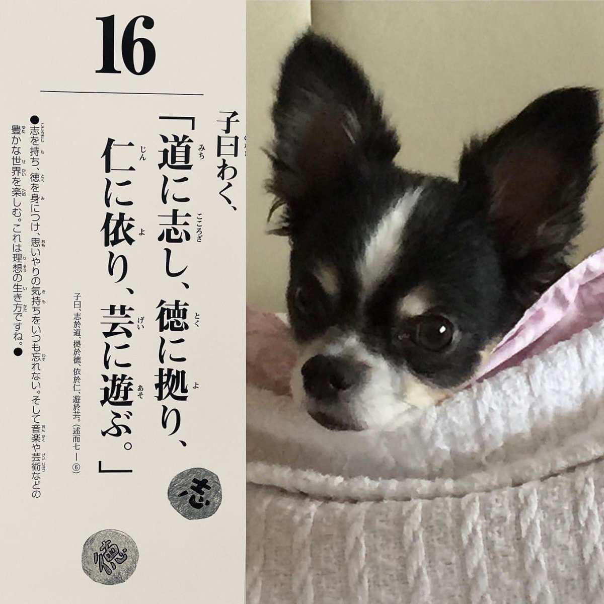 青山なでしこ学院 D3xkqivmreo2oug Twitter 青山なでしこ学院 D3xkqivmreo2oug Twitter