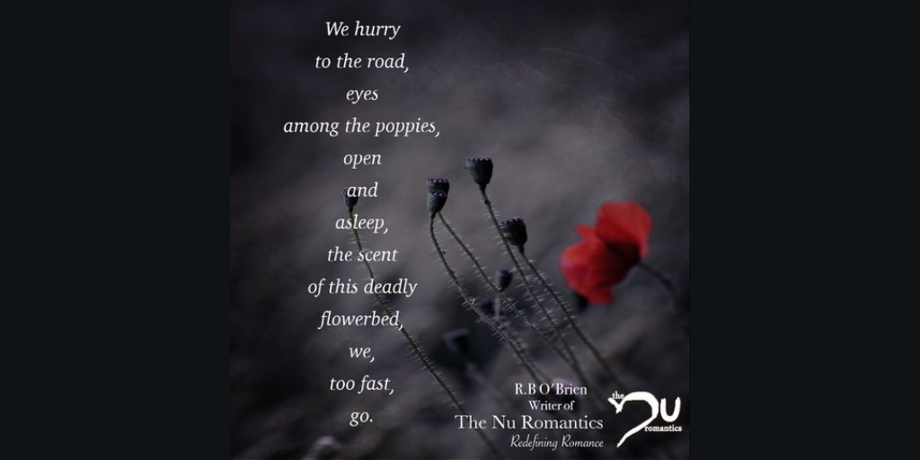 theNuRomantics's tweet image. We hurry
to the road, 
eyes 
among the poppies, 
open 
and 
asleep, 
the scent 
of this deadly
flowerbed, 
we, 
too fast, 
go.

By: R.B O&apos;Brien
@rbobrien120 

#NRRTG #darkpoetry #death