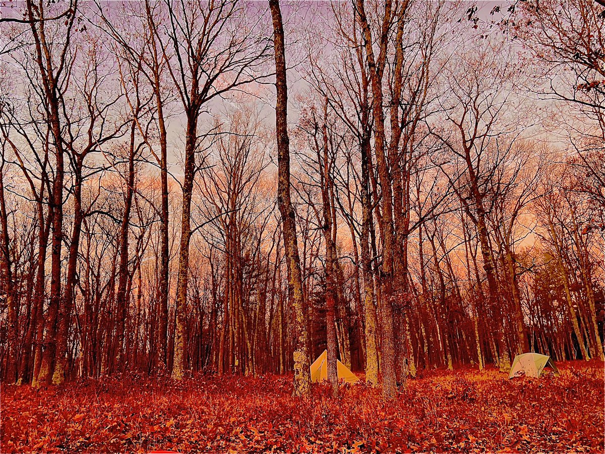 soakedincolor's tweet photo. Fall backpacking https://t.co/rD5H0Dk2aJ