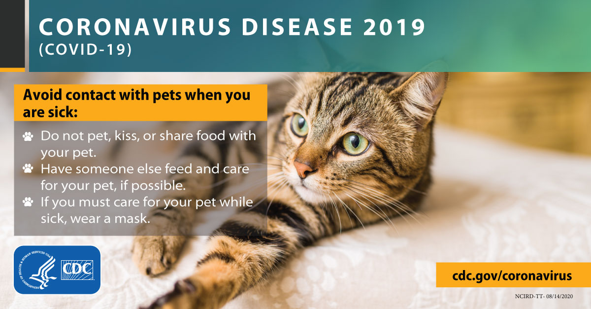 CDC_NCEZID's tweet photo. Pets continue to be reported to be infected by the virus that causes #COVID19. 

Protect them by:
☑️ Limiting their contact with people outside the household.
☑️ Keeping them away from sick people.
https://t.co/Cxz5Qc8s5t https://t.co/3RlKSdools