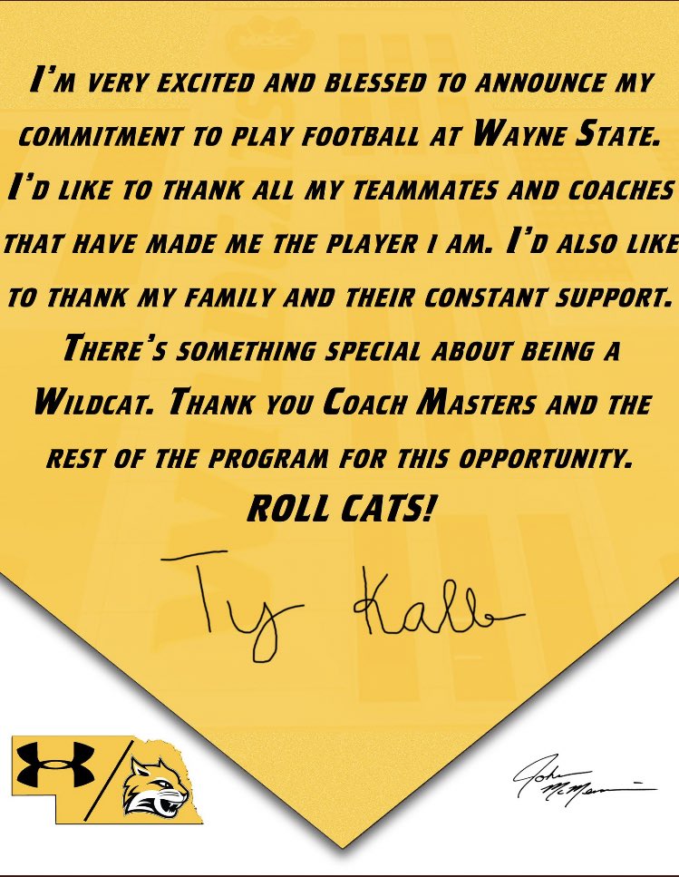 COMMITTED!! 🐯🔥 #ForThePaw #RollCatsForever