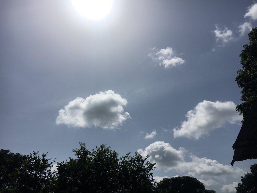 The weather is nice today