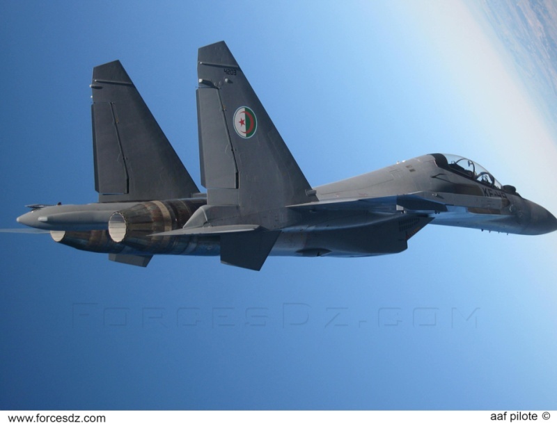 LE Su 30 de 4e génération +, au nombre de 57 actuellement et 72 en 2021 c'est une flotte conséquente le Su30 fait partie des avions les plus puissants, c'est l'Algérie le premier pays à avoir introduit un avion de 4e génération du bassin méditerranéen avant même la France