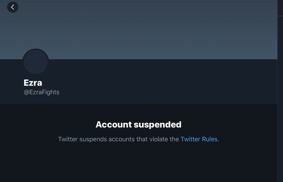 The final five accounts were vanquished in a single 24 hour period.I note the last entry. So should you.This was going to be its last Twitter account.Apparently, it was so frustrated that it was going to go ahead and out itself. 