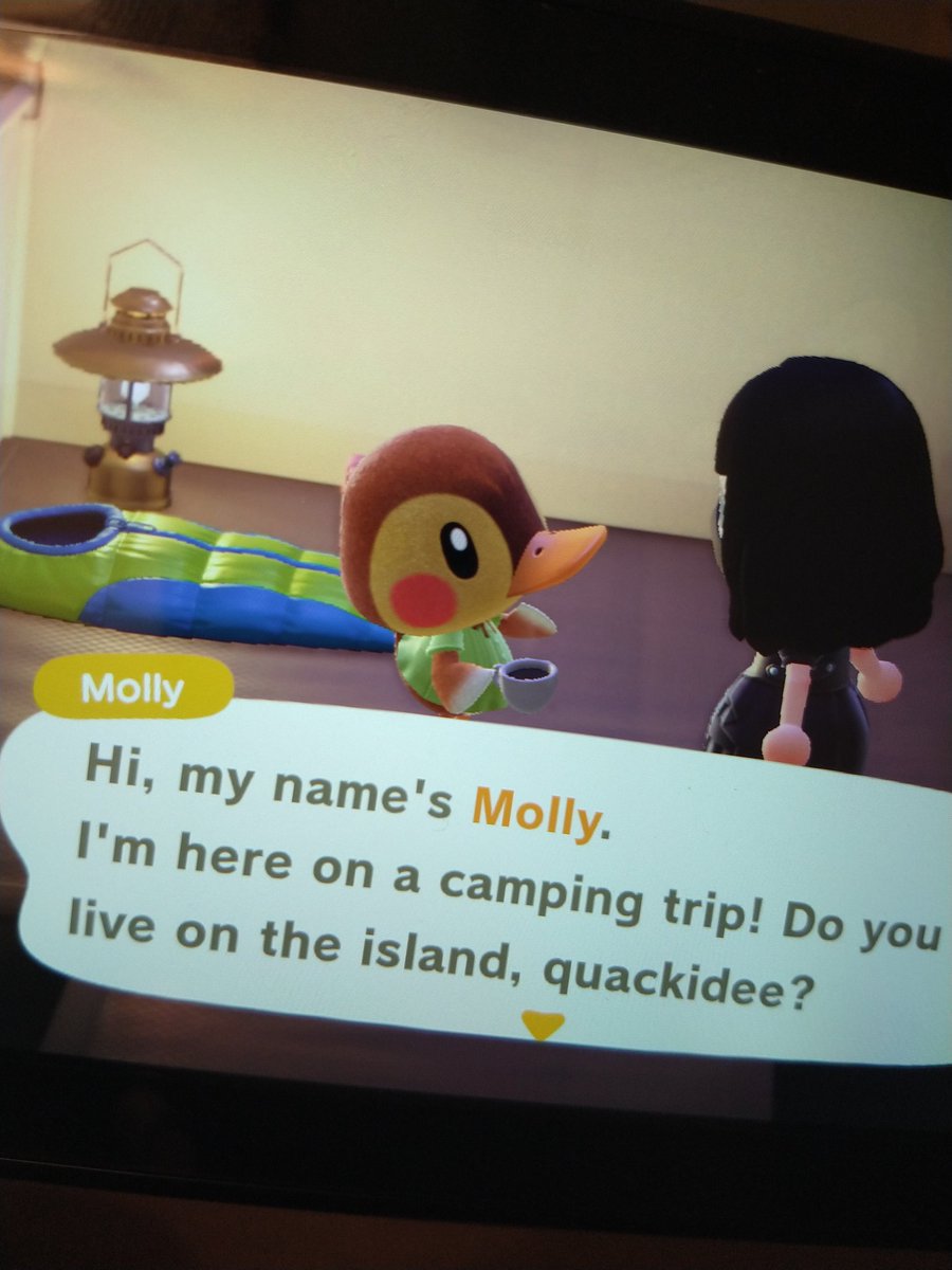 AcnhFinalizer's tweet photo. Oh Molly. You cutie! I can't handle the roulette of who you'd pick to kick out 😟 #AnimalCrossingNewHorizons https://t.co/fu3WixTGob