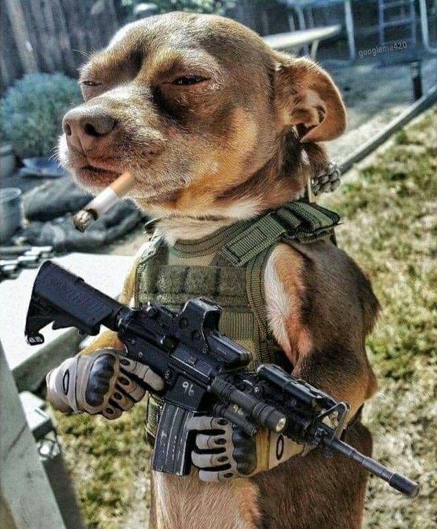 In other news, turn on notifications and tag others