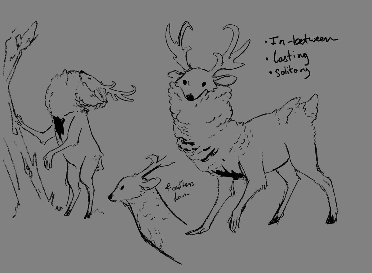 holydangyo's tweet photo. *gives u a deer with raccoon hands* new cryptid just dropped https://t.co/H8R7UbcUwd