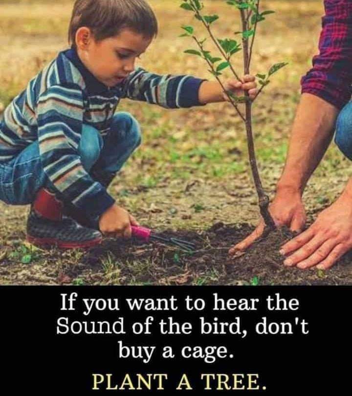 jitenderpadhy's tweet photo. Good morning 🙂 https://t.co/Puv5WuMhVm