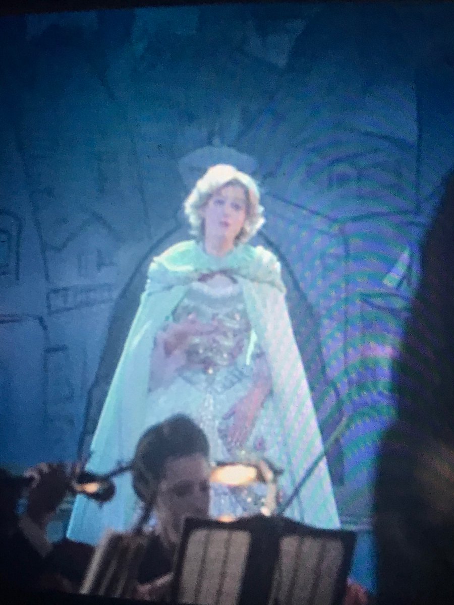 Okay the Phantom of the Opera thing.....did not happen, but that dress is accurate! And also, she really did love Phantom of the Opera.... she saw it in 1987 wearing one of her best outfits ever