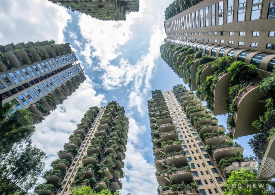 中国の高層マンション群がリアルラピュタ？無人の廃墟と化した街が蚊と緑に侵蝕される！