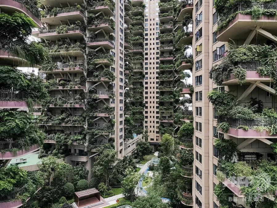 中国の高層マンション群がリアルラピュタ？無人の廃墟と化した街が蚊と緑に侵蝕される！