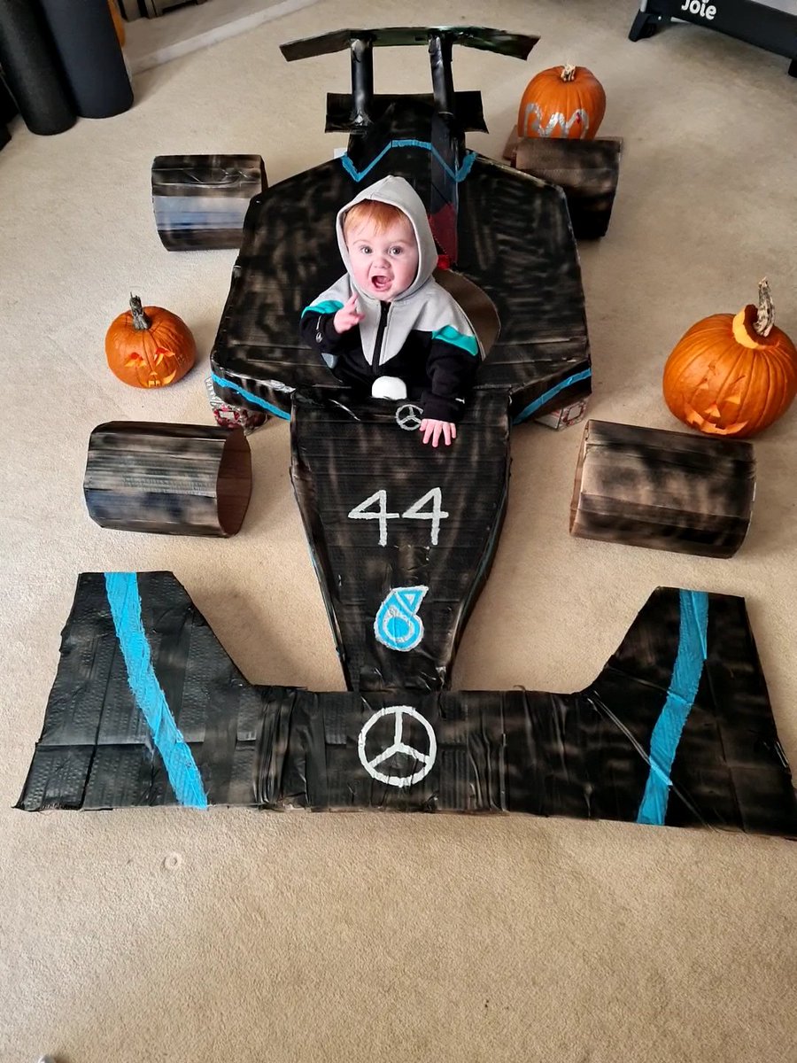 TorrieRoseS's tweet photo. Congratulations @LewisHamilton for your 7th World Championship title! Our little guy is rooting for you with every race 🏁 @edwardturner23 https://t.co/jNfNbuUJWb