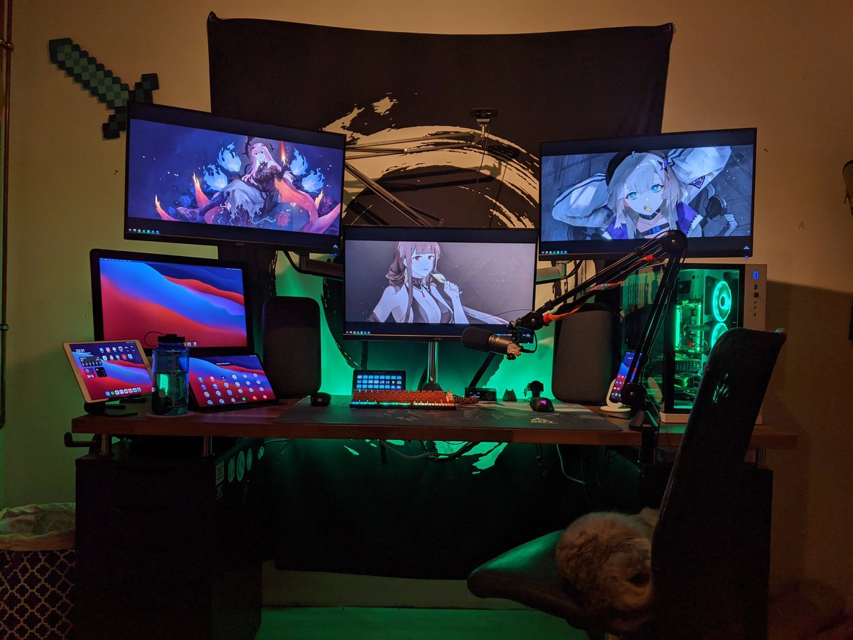 Pa7na_'s tweet photo. #md7pc Setup inklusive lebendigen Staubwedel. https://t.co/9v8O9J80PX