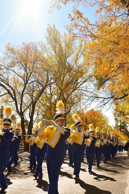 NAUAlumni's tweet photo. #TFW life imitates art 💛💙 #TrueBlueAndGold https://t.co/PZ6vmzSqPV