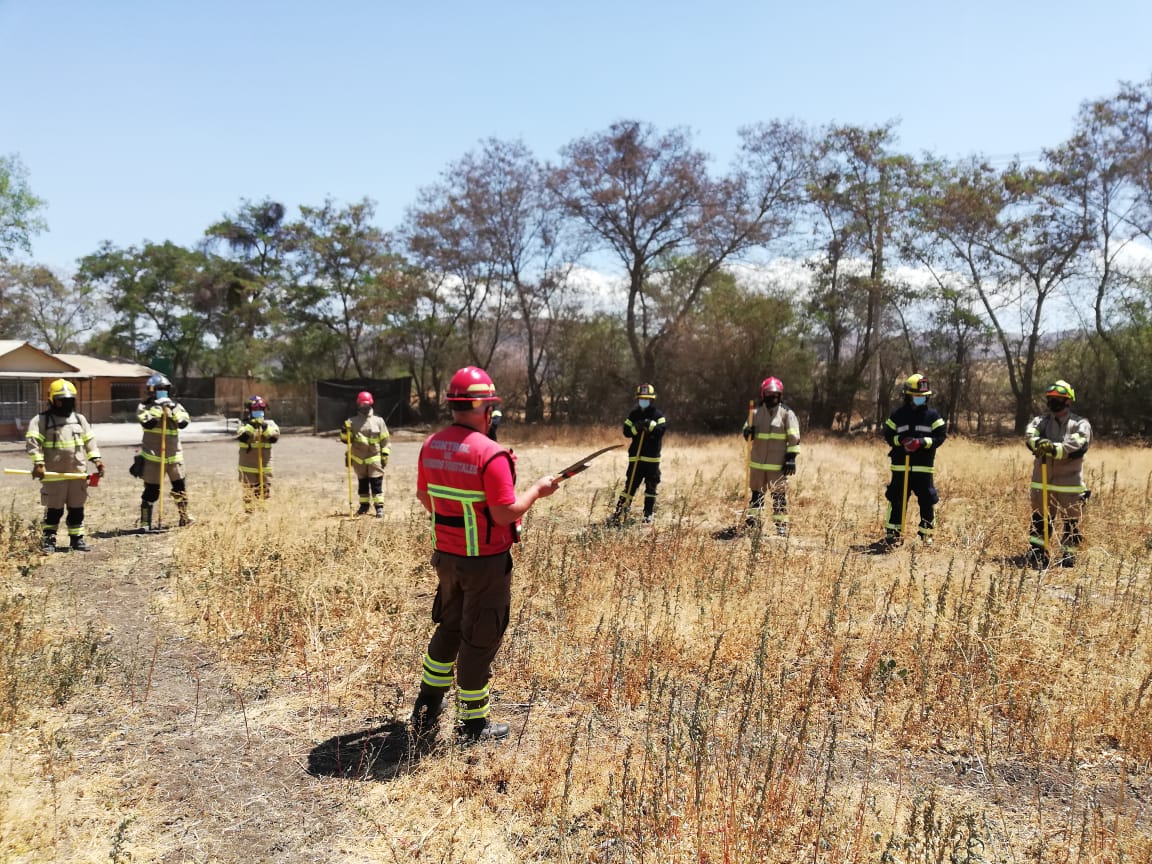 CONAF - Corporación Nacional Forestal tweet media
