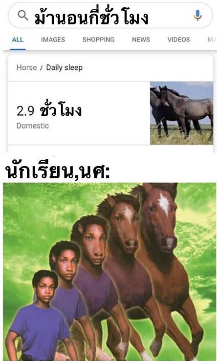 blueciiel's tweet photo. จบไปไม่เป็นกราฟิก เป็นม้า https://t.co/0ujBaAuRxa