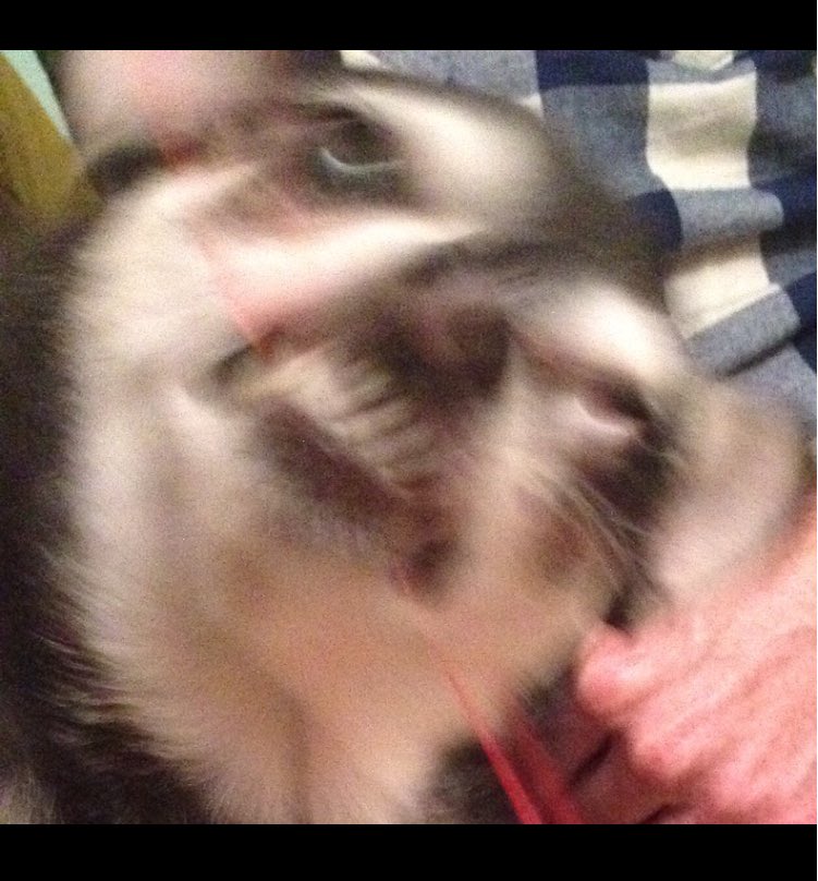 jadepuget's tweet photo. @perfumegenius https://t.co/iU4djkeLon