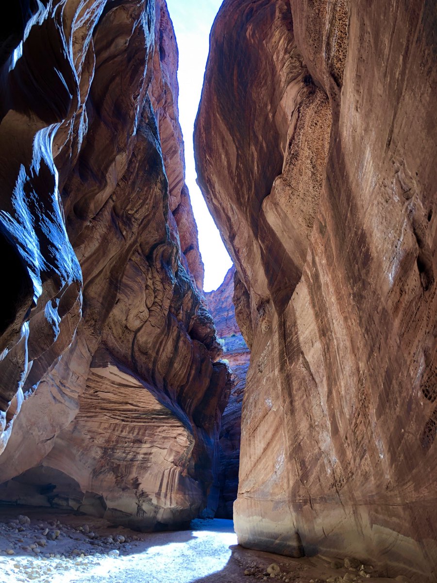 greyotteroutven's tweet photo. Outventure of the Week: Hiking Wire Pass to Buckskin Gulch, UT

#hikingadventures #hikingtrails #outdoorlife #greatoutdoors #outdooradventures #beautifuldestinations #WirePasstoBuckskinGulch #BuckskinGulch #WirePass #Utah #GreyOtterOutventures https://t.co/jc8TLbxQv7 https://t.co/vtQ79jSyeS