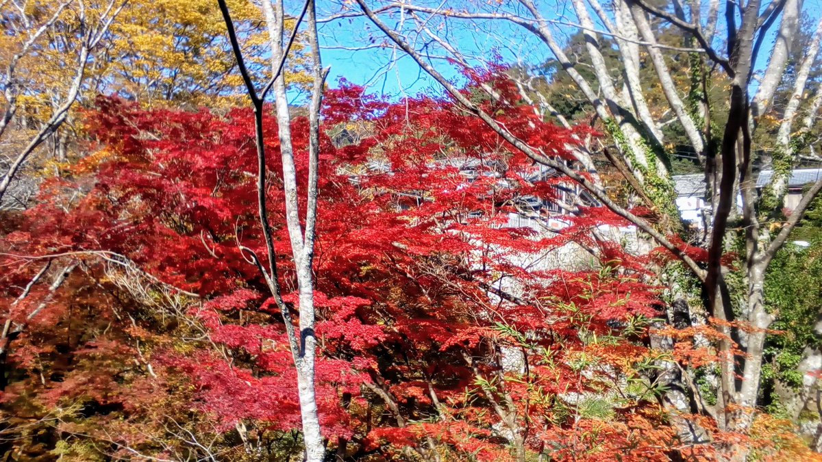 irodori_syun's tweet photo. 昨日の道中で、
＃R166 https://t.co/88x8rJQjRD