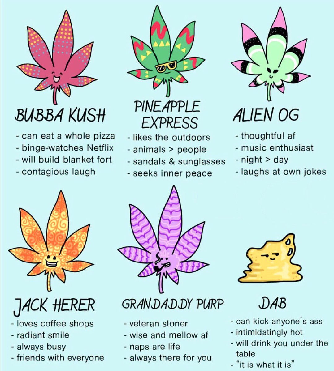 theone90x's tweet photo. Pick one and pass it on stoners! https://t.co/xxOmjAOFAO