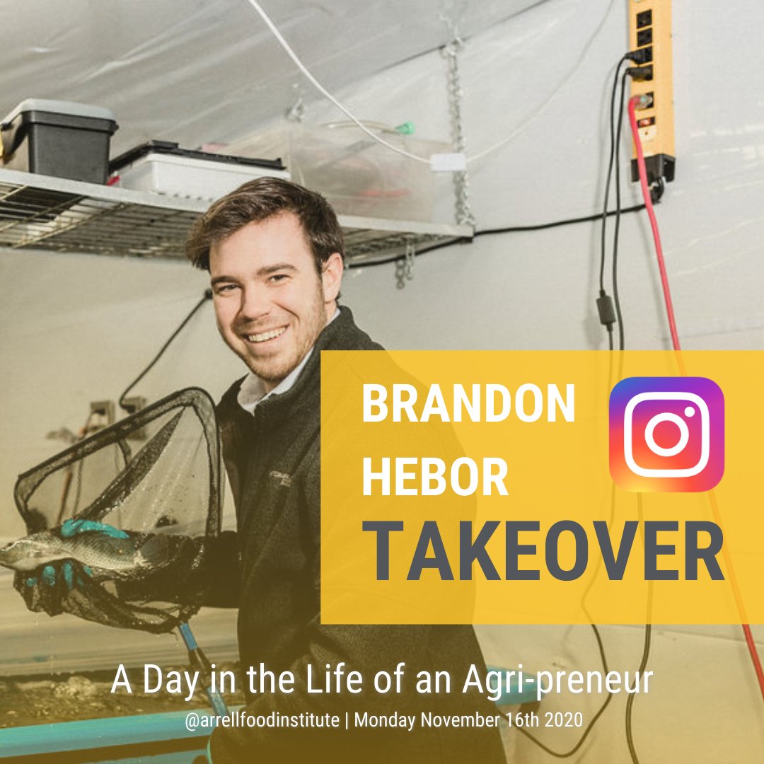 ArrellFoodInst's tweet photo. 3 days until #AFoodSummit! Want a sneak peek? @BrandonHebor from Ripple Farms is taking over our instagram (@arrellfoodinstitute) on Monday Nov. 16th. 

We'll get behind-the-scenes access to aquaponic greenhouses and hear his advice to students on careers in sustainability! https://t.co/oBd9iOFgfX
