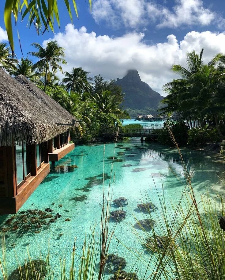 INTERIORPORN1's tweet photo. Bora Bora is a VIBE https://t.co/5wlMrqozXZ