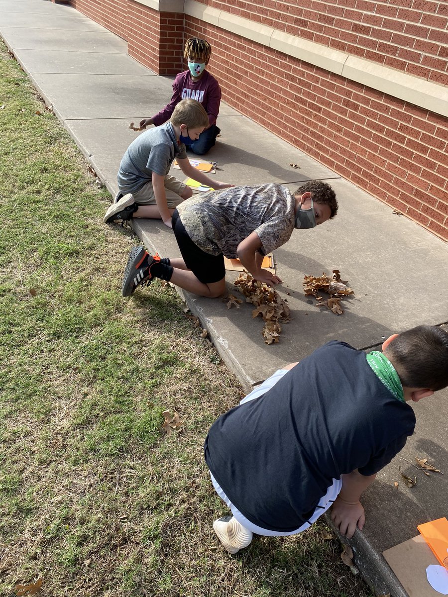MsLParsons88's tweet photo. Took our learning outside this week! Collected leaves and then used our total number to create division problems for our division dudes! @fainrockets @WFISDschools #iamwfisd #mathsolvesproblems #iteachmath #schoolshouldbefun #handsonlearning #bealight https://t.co/w4ujeYRGSd
