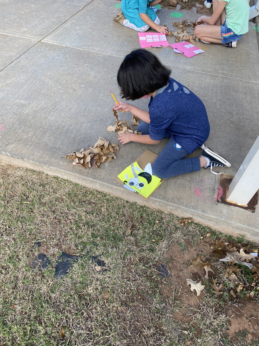 MsLParsons88's tweet photo. Took our learning outside this week! Collected leaves and then used our total number to create division problems for our division dudes! @fainrockets @WFISDschools #iamwfisd #mathsolvesproblems #iteachmath #schoolshouldbefun #handsonlearning #bealight https://t.co/w4ujeYRGSd