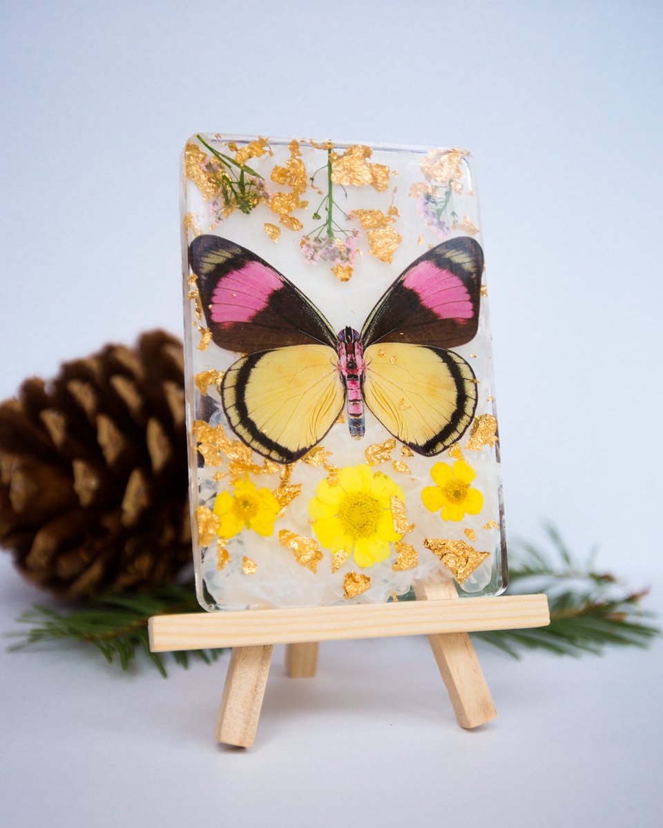 🎄 NEW ITEMS 🎄

Just updated my shop with 6 new items!! I’m excited about all of these ☺️ Get your holiday shopping done early and get one of these beauties for yourself or a loved one! 

Etsy.com/shop/handmadeb… and use code “TWITTER” for 20% off!