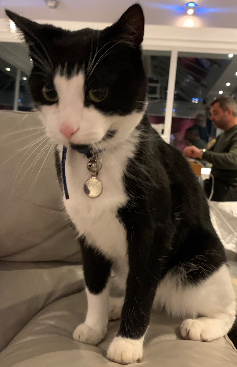 ddoinn's tweet photo. @Gailporter Cuddle them tight, lost my special boy to a speeder on the road just over a month ago. Miss him everyday. https://t.co/UDmvoMIgyO