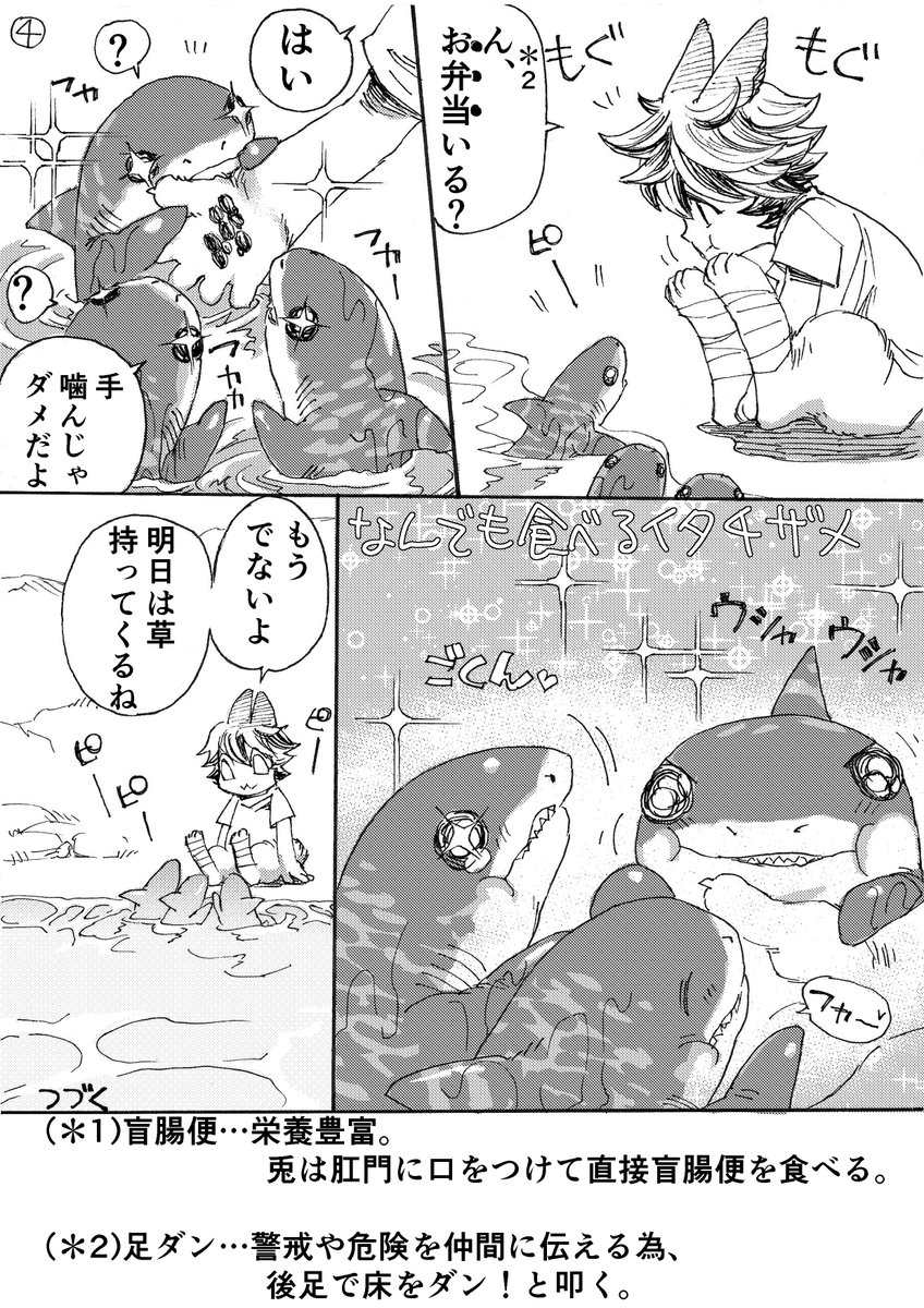 サメを育てる兎②

#稲羽事変
#サメを育てる兎
#サメ 