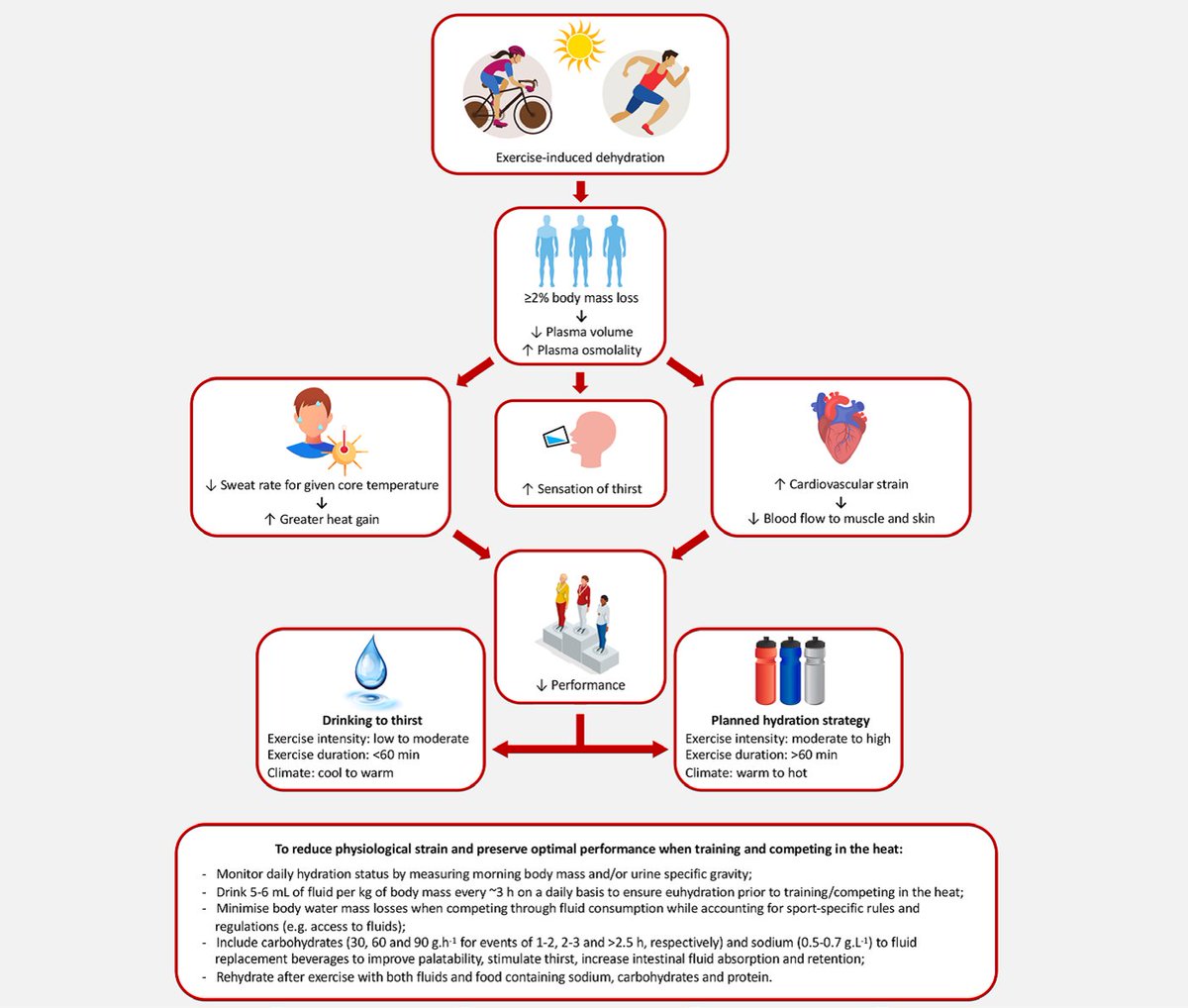 inigomujika_en's tweet photo. Athletes in Tokyo 2020 should remain euhydrated &amp; replace sweat losses to prevent excessive ↓ in total body water. Hydration strategies should be athlete-specific &amp; consider sweat rate &amp; composition (Périard et al. 2020) #ESSTC20
8/10 https://t.co/Rt8fmoyBeE