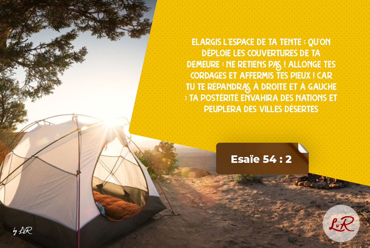 laVoix2laRaizn's tweet photo. Élargis ta #vision , vois plus loin, vois plus grand, change ta manière de penser. Je sais que c’est dur, difficile pour toi mais pas impossible. Forme toi.Accrois ta #sagesse et garde tes valeurs.Tu peux y arriver. #Amen #Jésus #foi #Jésusestavectoi #soisfort #repousseteslimites https://t.co/936BKSxTUZ