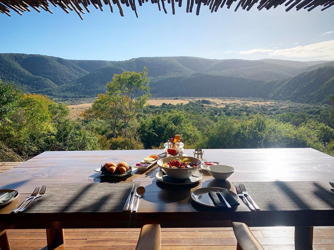 KariegaGameRes's tweet photo. Wouldn't you like to be enjoying this view today? Check availability for your safari getaway: https://t.co/0b7o9KT0zt. πΈ : Honeymoon guest Matt. #settlersdrift #safarilodge #luxurysafari #honeymoon #5starservice #africanwilderness #breakfastviews #mondaymood #kariegagamereserve https://t.co/FcZEe8evv1