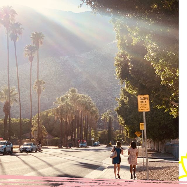 cafelajefa's tweet photo. People all over the world love to visit and enjoy what Palm Springs lifestyle has to offer.

Tell us what do you love about Palm Springs the most?
💗

#CafeLaJefa #BossCoffee #lajefa #cafelafejacomingsoom #comingsoon #cafelajefa #coffeeshop #comingsoontopalmsprings #coffeeshop https://t.co/z2EKe2cS0N