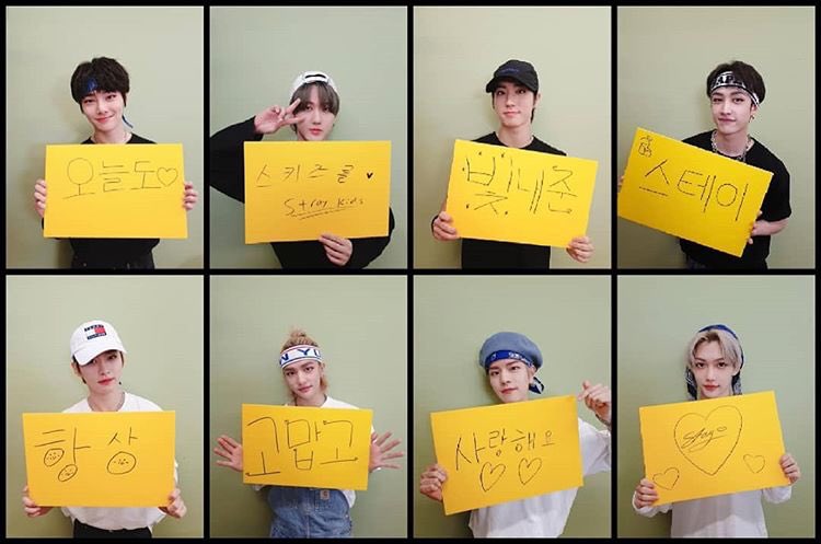 nobody loves stay as much as stray kids