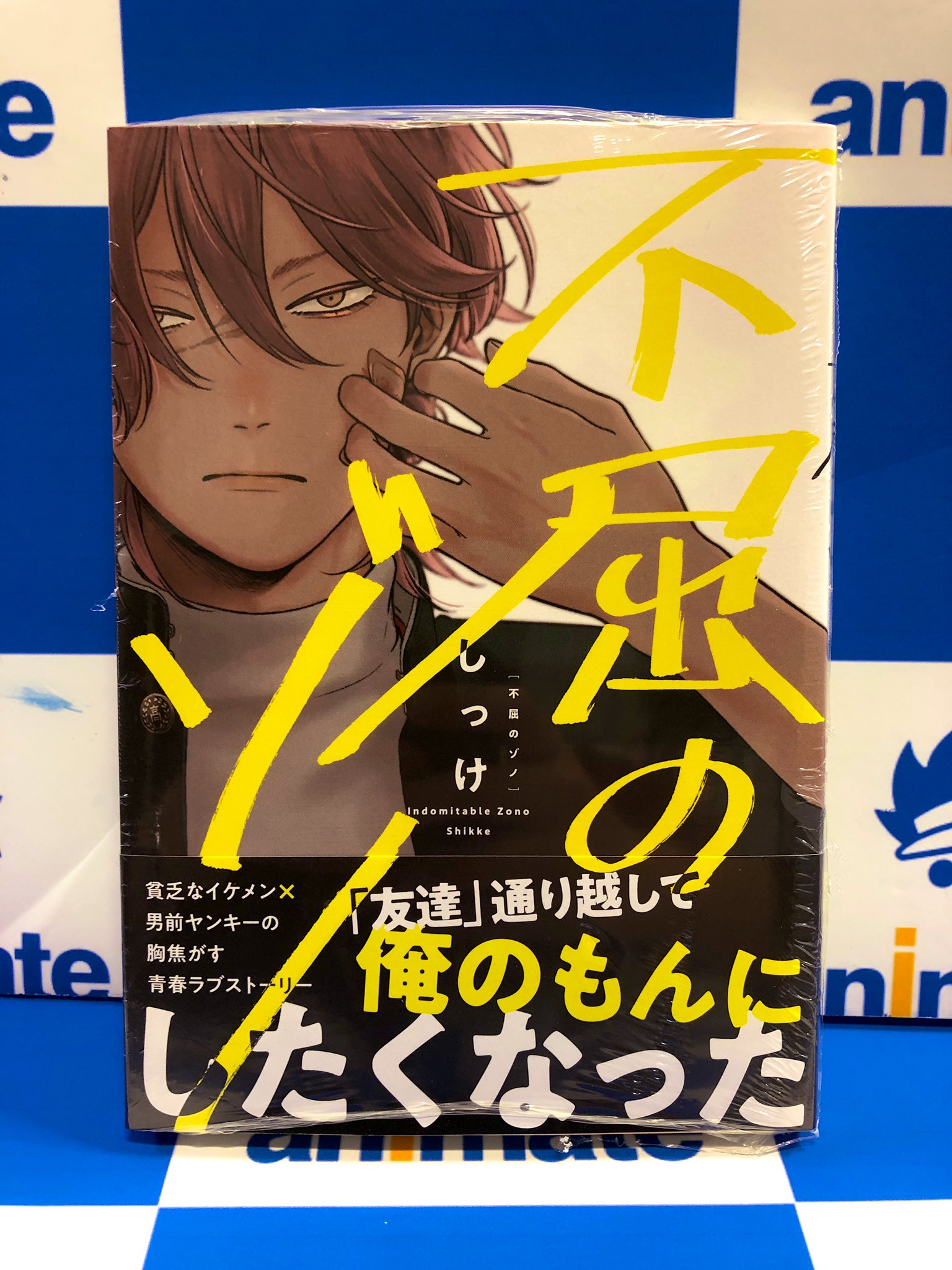 アニメイト大阪日本橋 不屈のゾノ しっけ 先生の作品 不屈のゾノ 発売中です 貧乏イケメン 男前ヤンキーくんのお話です ヤンキーには何か秘密があるようで ｂｌ新刊台にて展開中です 不屈のゾノ