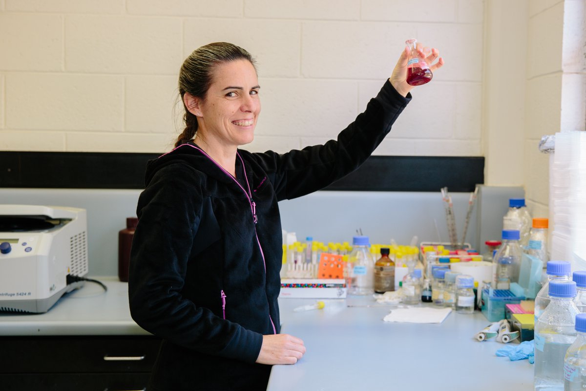 AHRI_Team's tweet photo. Congratulations 👏🏻🎉 to our AHRI Team member Dr Danica Goggin who has just won her 4th ARC Grant! Danica worked hard on this application and we're ecstatic for her to receive it! You can offer your congratulations to Danica here ➡️https://t.co/CdgSuu6SHp https://t.co/FNWmsSJea9