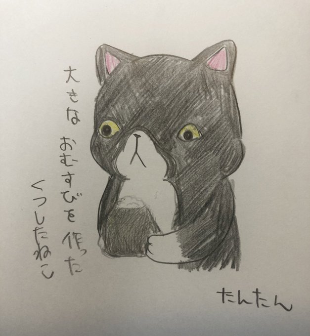 大きなおむすびを作ったくつしたねこ
#イラスト  #猫
#色鉛筆 