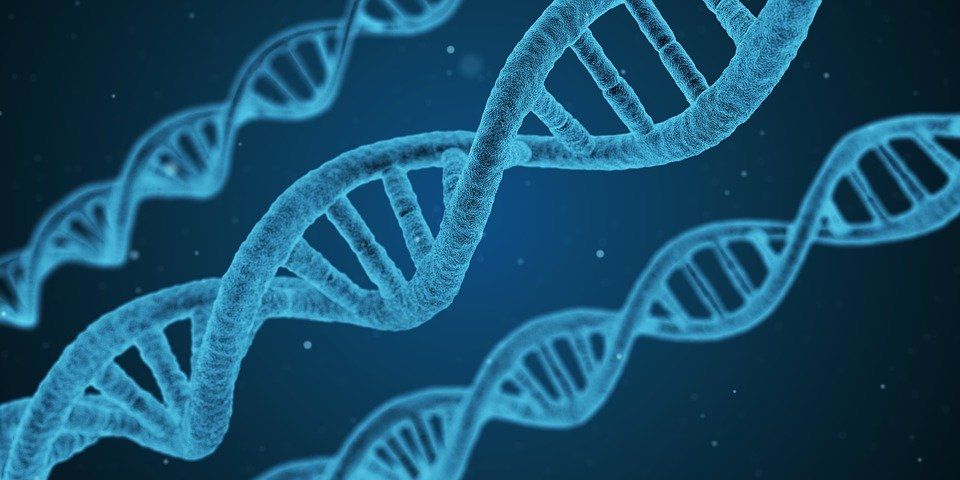 GlobalChangeBio's tweet photo. |Opinion|
Is #genemapping in wild populations useful for understanding and predicting adaptation to global change? https://t.co/Ss32L02D2d https://t.co/iL2fEKzApG