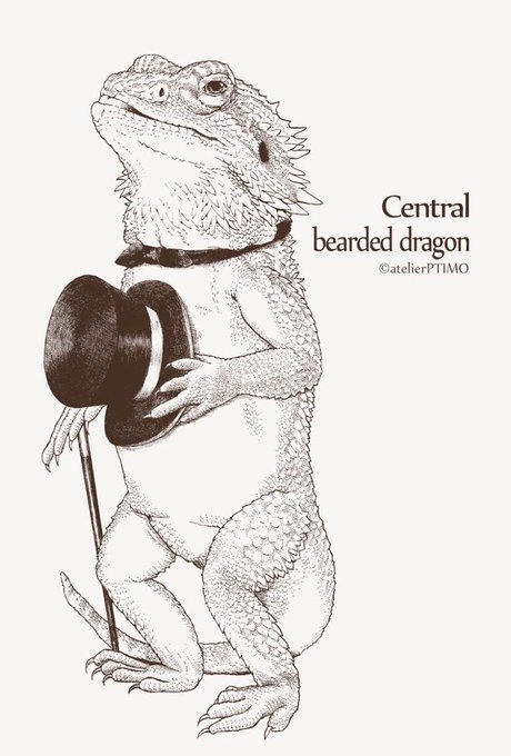 フトアゴヒゲトカゲのtwitterイラスト検索結果