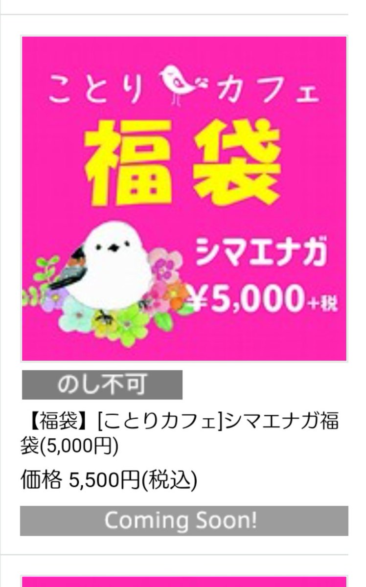 十六夜 もちこさんからの情報で知った京王ネットショッピングのシマエナガ福袋 無事ゲット 福袋 福袋21 京王百貨店 京王ネットショッピング ことりカフェ ことりカフェ福袋 ことりカフェ福袋シマエナガ