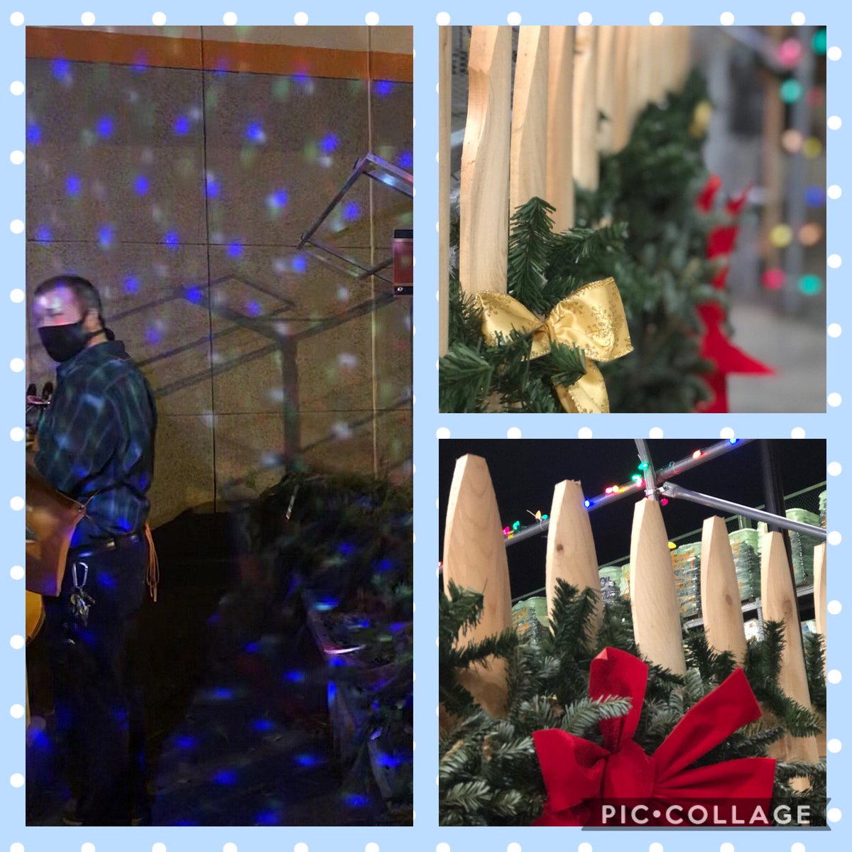 Alina1604 (@alina16041) on Twitter photo In anticipation of this year's Christmas tree shipment, Cris Dill <a href="/Chrisdillhd1604/">chris dill</a> creating our own Winter Wonderland 🌟❄️☃️ in outside garden. #itsonlythebeginning #1604DEBeach <a href="/LindseySFry/">Lindsey S Fry</a> <a href="/1604OpsASMCHRIS/">Christopher Stoddard</a> @skfroude @AdamTheDHRM In anticipation of this year's Christmas tree shipment, Cris Dill <a href="/Chrisdillhd1604/">chris dill</a> creating our own Winter Wonderland 🌟❄️☃️ in outside garden. #itsonlythebeginning #1604DEBeach <a href="/LindseySFry/">Lindsey S Fry</a> <a href="/1604OpsASMCHRIS/">Christopher Stoddard</a> @skfroude @AdamTheDHRM